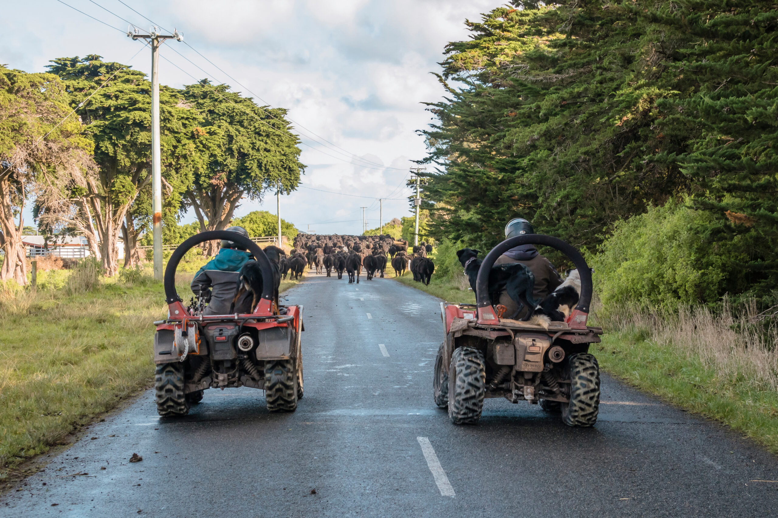 ATV Training