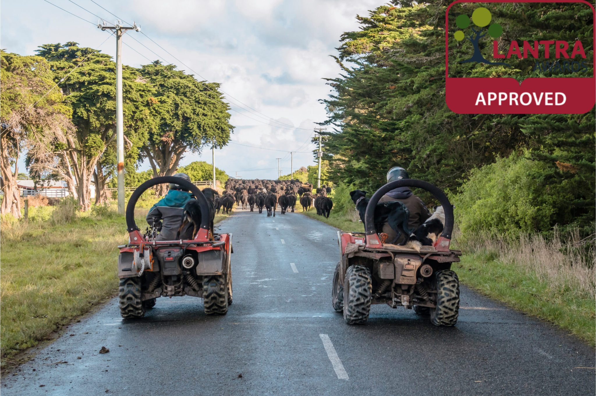 ATV Training